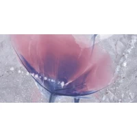Декор Барбадос Цветы 4 30x60