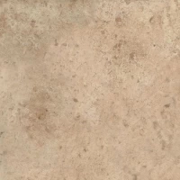Керамогранит Aix Beige matt rett 20 mm 120x120
