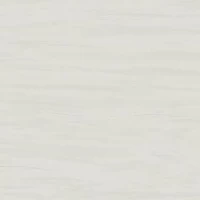 Керамогранит Marvel Stone Bianco Dolomite Lappato 120x120