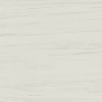 Керамогранит Marvel Stone Bianco Dolomite matt 60x60