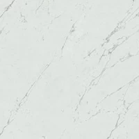 Керамогранит Marvel Stone Carrara Pure matt 60x60