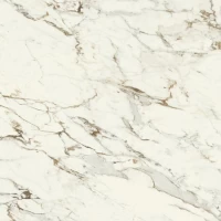 Керамогранит Purity of Marble Capraia Nat Rett 60x60