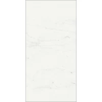 Плитка Charme Deluxe Wall Project Bianco Michelangelo 40x80