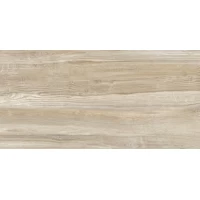 Плитка Woodmix 24,9x50 TWU09WDX404