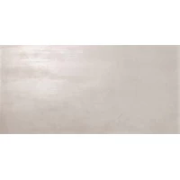 Плитка Dwell Silver 80 40x80