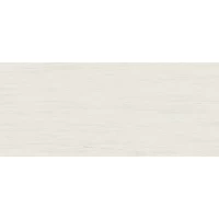 Керамогранит Marvel Stone Bianco Dolomite Matt 120x278