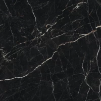 Керамогранит Allure Imperial Black Mat 60x60