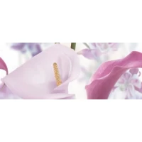 Декор Sano Dec Panno A 20x50