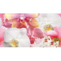 Декор Dec Fusion Panno A 25x45