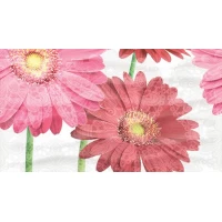 Декор Dec Gerbera Panno A 25x45