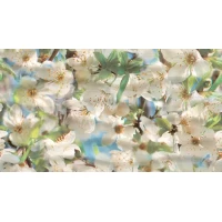 Декор Dec Spring Panno A 25x45