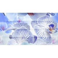 Декор Dec Vanda Panno A 25x45