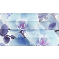 Декор Dec Vanda Panno B 25x45