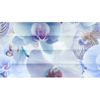Декор Dec Vanda Panno C 25x45