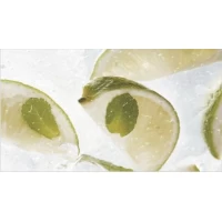 Декор Mojito 1 25x45