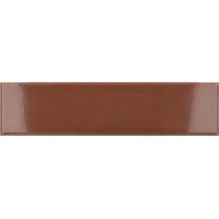 Плитка Costa Nova Terra Gloss 5x20