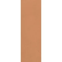Плитка Color Now Curcuma 30,5x91,5