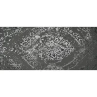 Декор Roma Dark Inserto 50x110