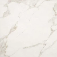Керамогранит Roma Calacatta 20x20