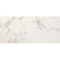 Плитка Roma Calacatta 50x120
