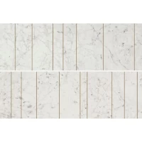 Декор Charme Extra Wall Project Carrara Inserto Golden Line 25x75