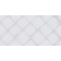 Плитка Adele Arctic 24,9x50