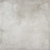 Керамогранит Jasper Silver MT Rect 60x60