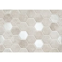 Декор Magnetia Dekor hexa A 25x36