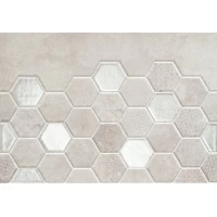 Декор Magnetia Dekor hexa B 25x36