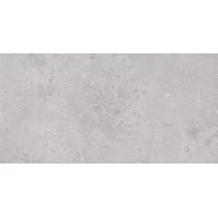 Плитка Ordessa graphite 30,8x60,8