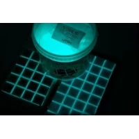 Добавка к затирке STARLIKE FINISHES NIGHT VISION - фотолюминисцентная для LITOCHROM STARLIKE 0,4 г